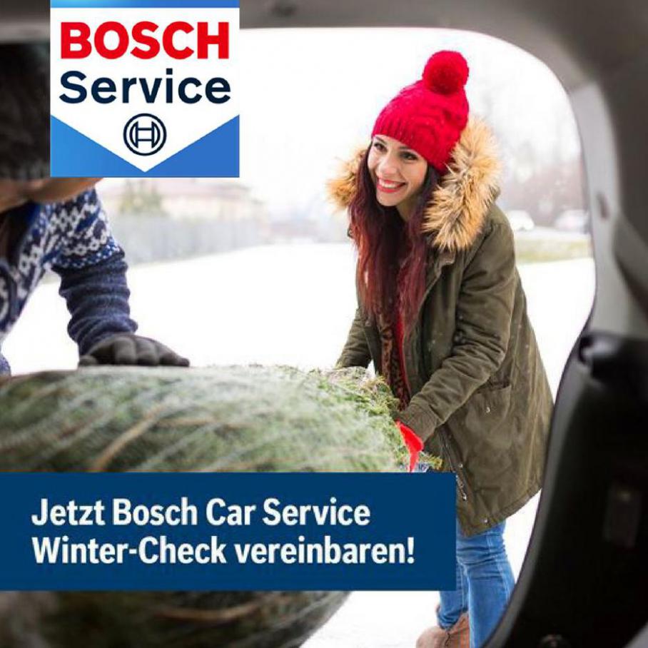 Winter Services . Bosch Car Service (2021-03-15-2021-03-15)