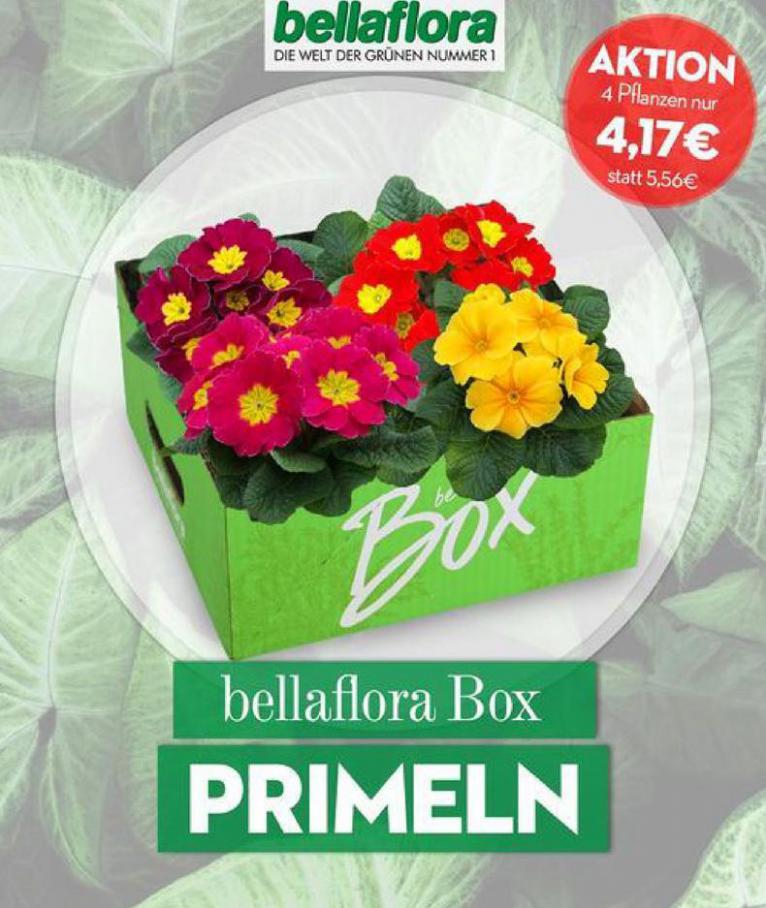 Angebote . Bellaflora (2021-01-31-2021-01-31)