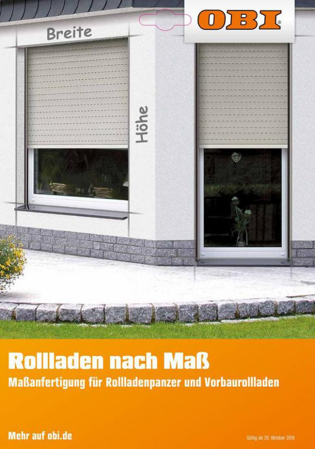 Rollladen . OBI (2021-08-31-2021-08-31)