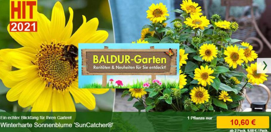 Bietet an. Baldur Garten (2021-07-08-2021-07-08)