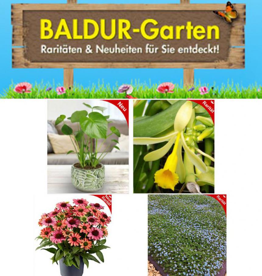 Verkauf. Baldur Garten (2021-09-05-2021-09-05)