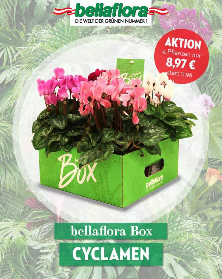 Bellaflora Box. Bellaflora (2021-09-30-2021-09-30)