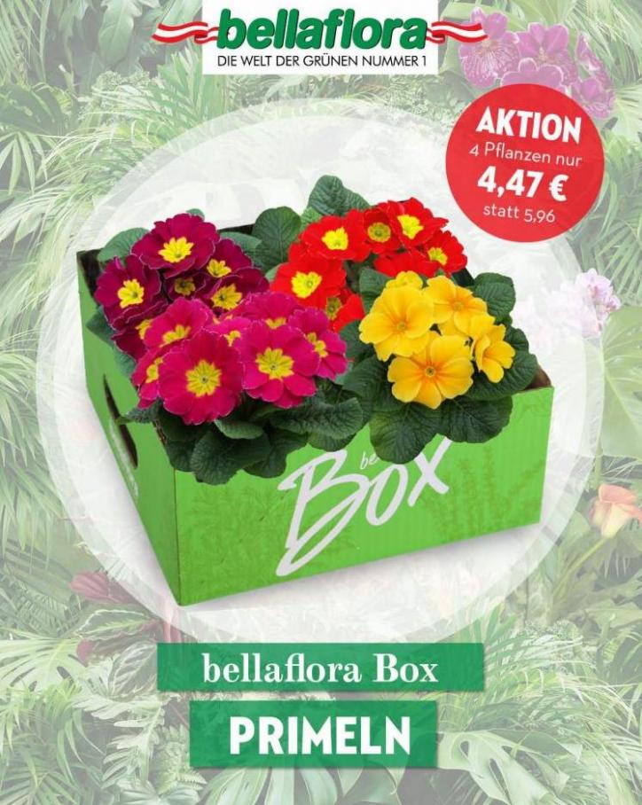AKTION. Bellaflora (2022-01-31-2022-01-31)
