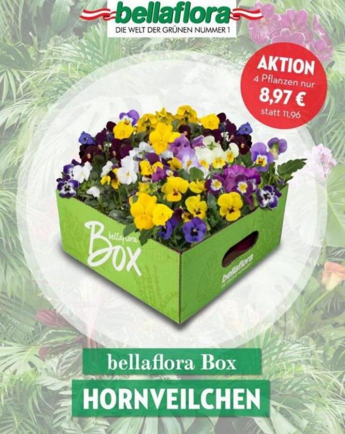AKTION. Bellaflora (2022-03-31-2022-03-31)