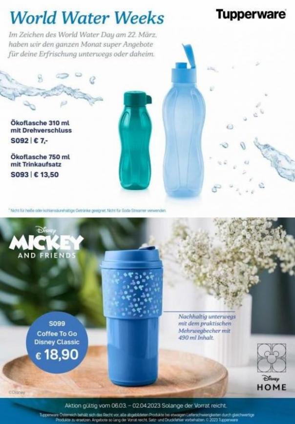 World Water Weeks KW 10-13. Tupperware (2023-04-02-2023-04-02)