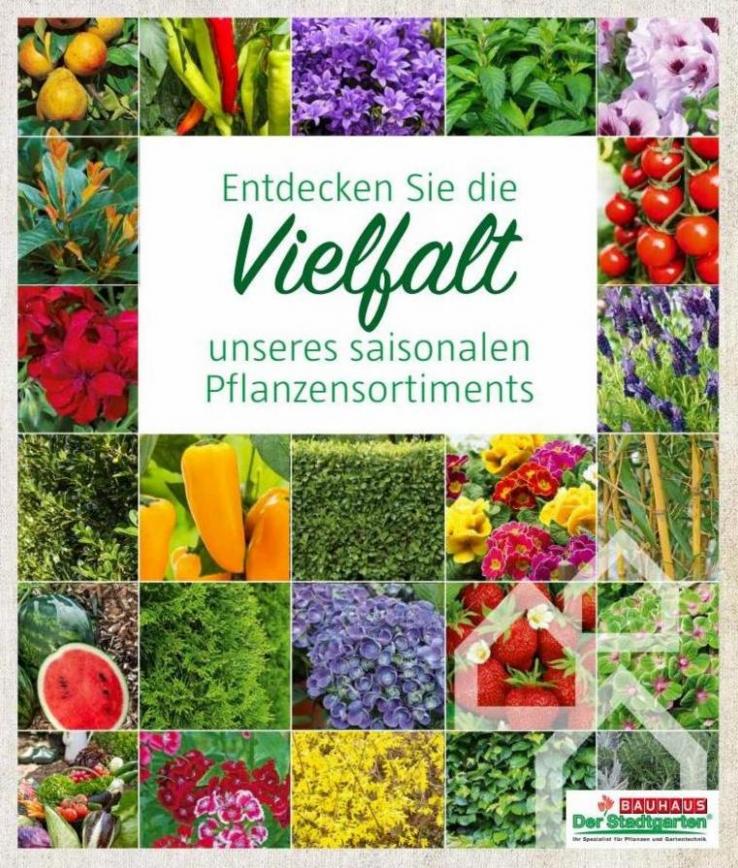 Saisonales Pflanzensortiment. Bauhaus (2023-05-09-2023-05-09)