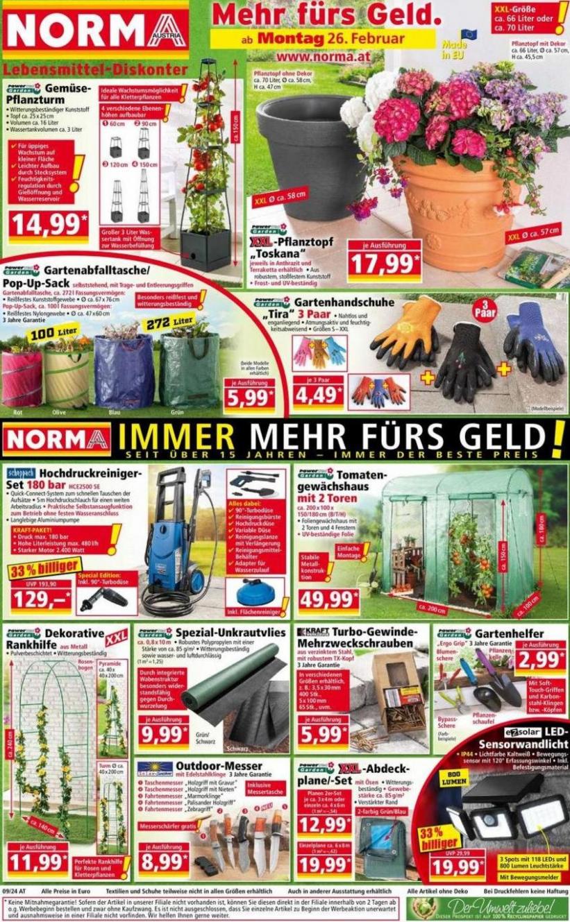 Mehr fürs Geld.. Norma (2024-03-01-2024-03-01)