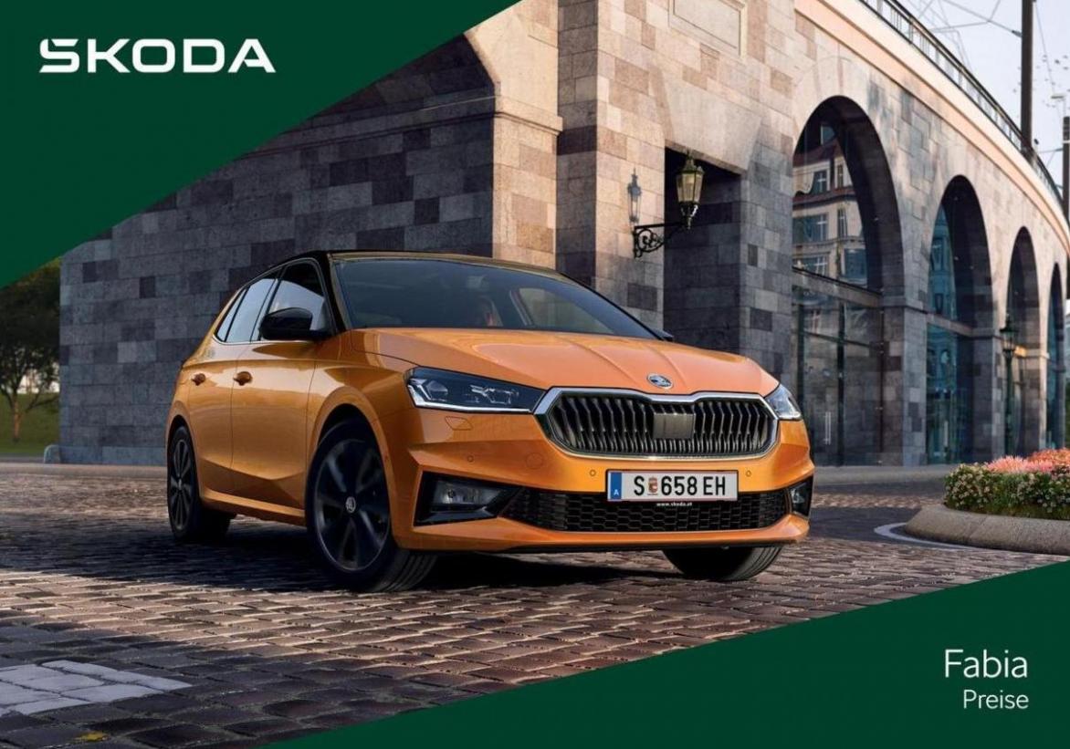 Škoda Fabia. Škoda (2025-02-16-2025-02-16)
