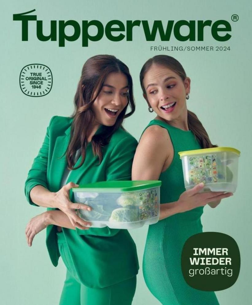 Frühling/Sommer 2024. Tupperware (2024-06-30-2024-06-30)