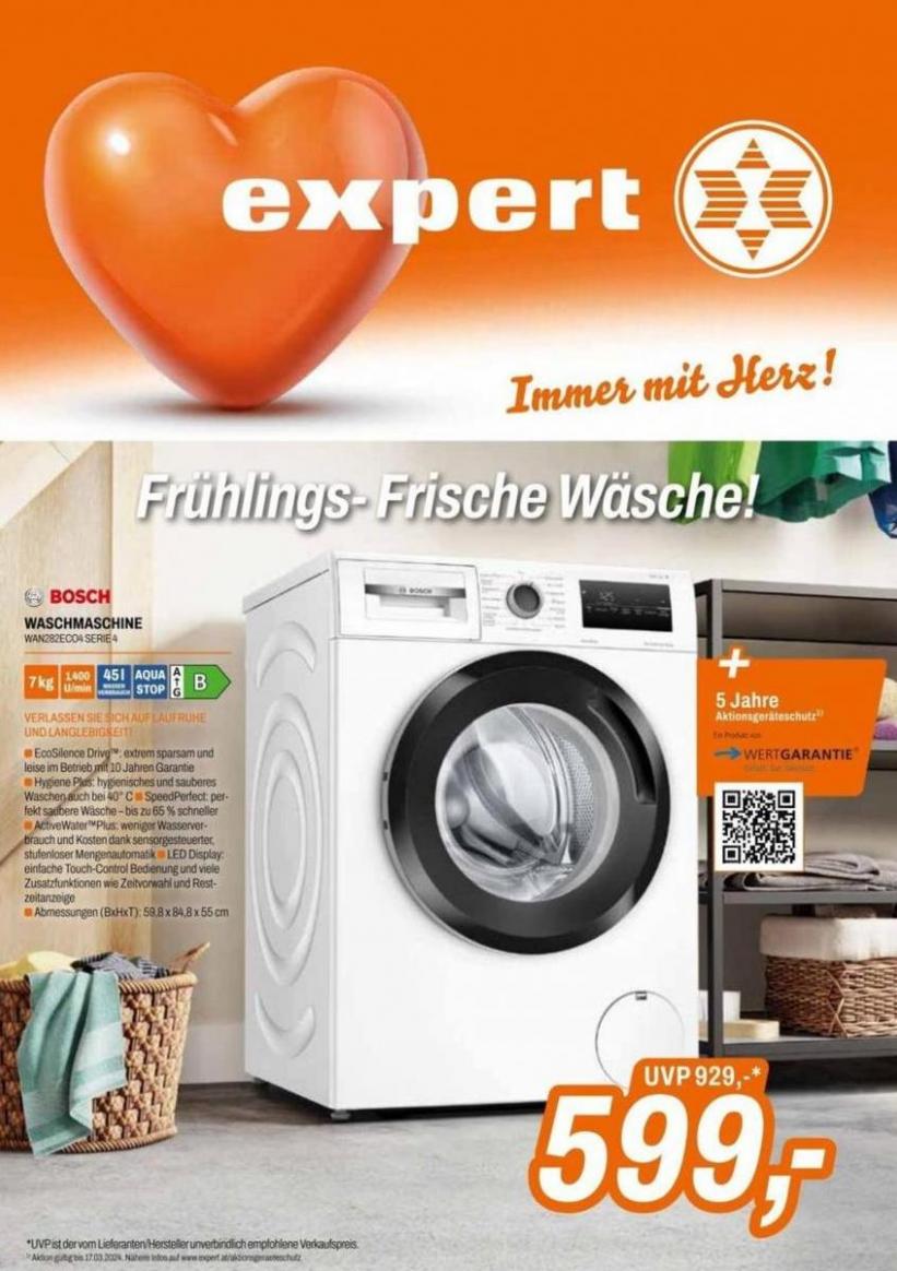 Frühlings-Frische Wäsche. Expert (2024-03-17-2024-03-17)