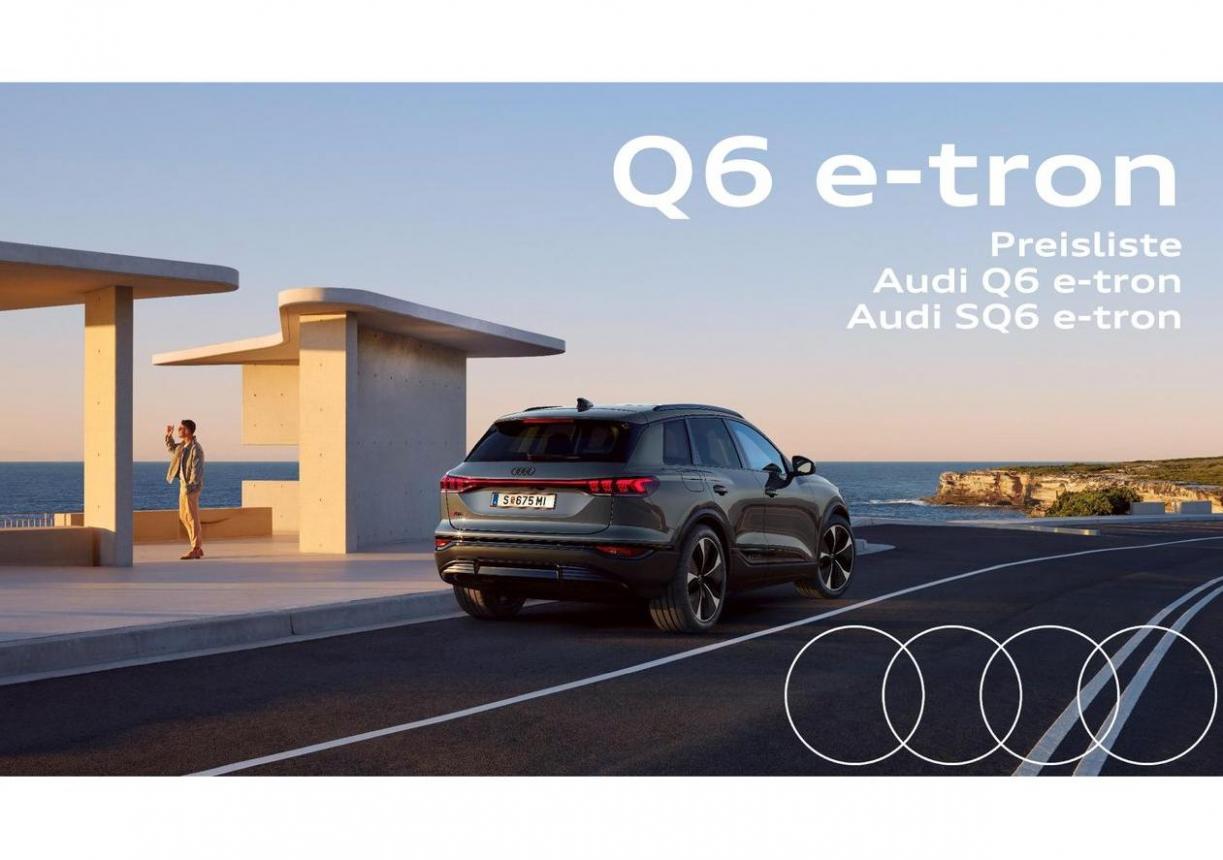 Audi Q6 e-tron. Audi (2025-03-28-2025-03-28)