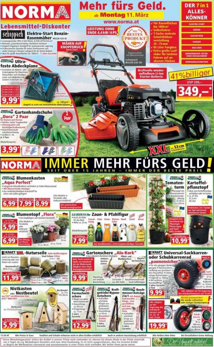 IMMER DER BESTE PREIS!. Norma (2024-03-15-2024-03-15)