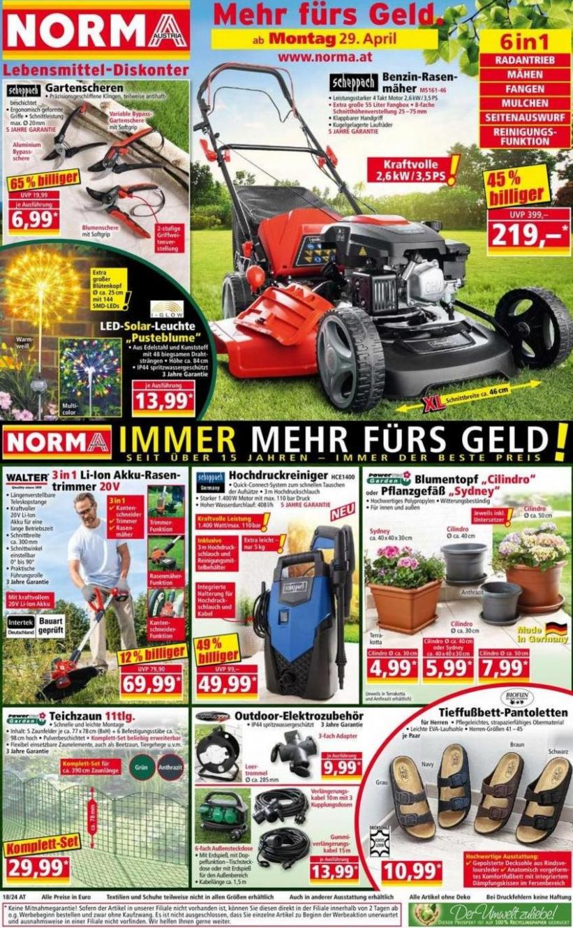 IMMER MEHR FURS GELD!. Norma (2024-05-03-2024-05-03)