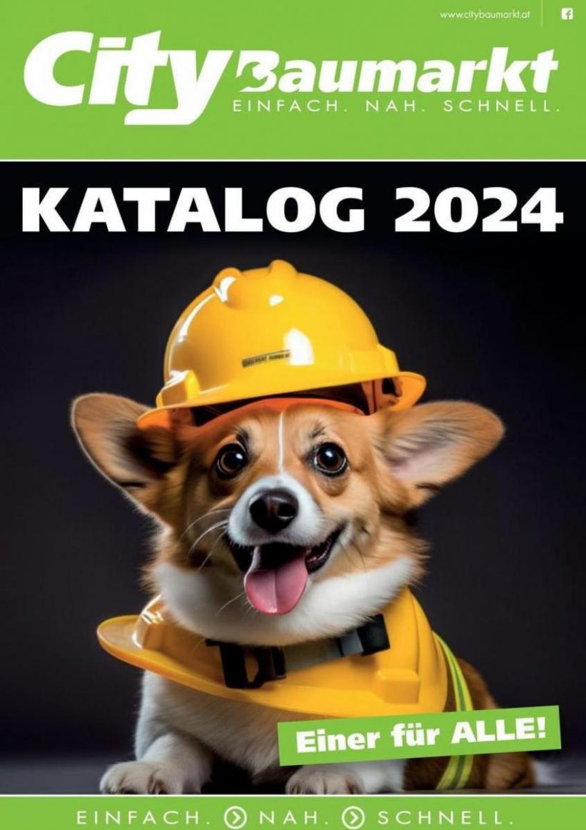 KATALOG 2024. City Baumarkt (2024-12-31-2024-12-31)