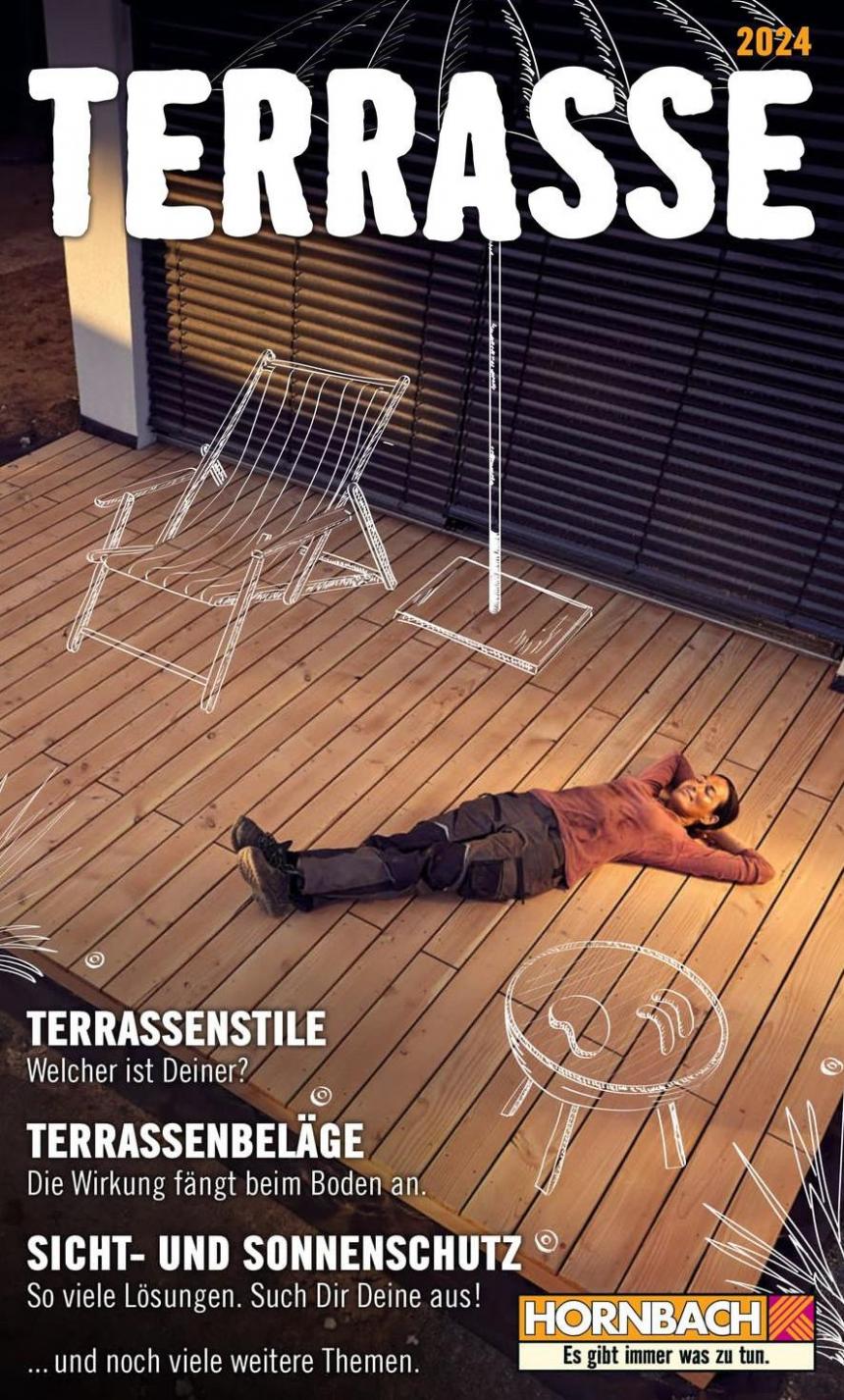 Terrasse. Hornbach (2024-12-31-2024-12-31)