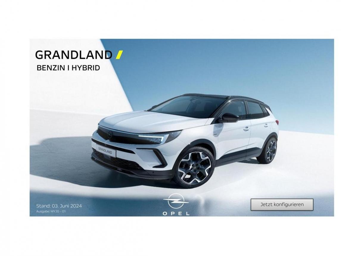 Opel Grandland. Opel (2024-06-19-2024-06-19)