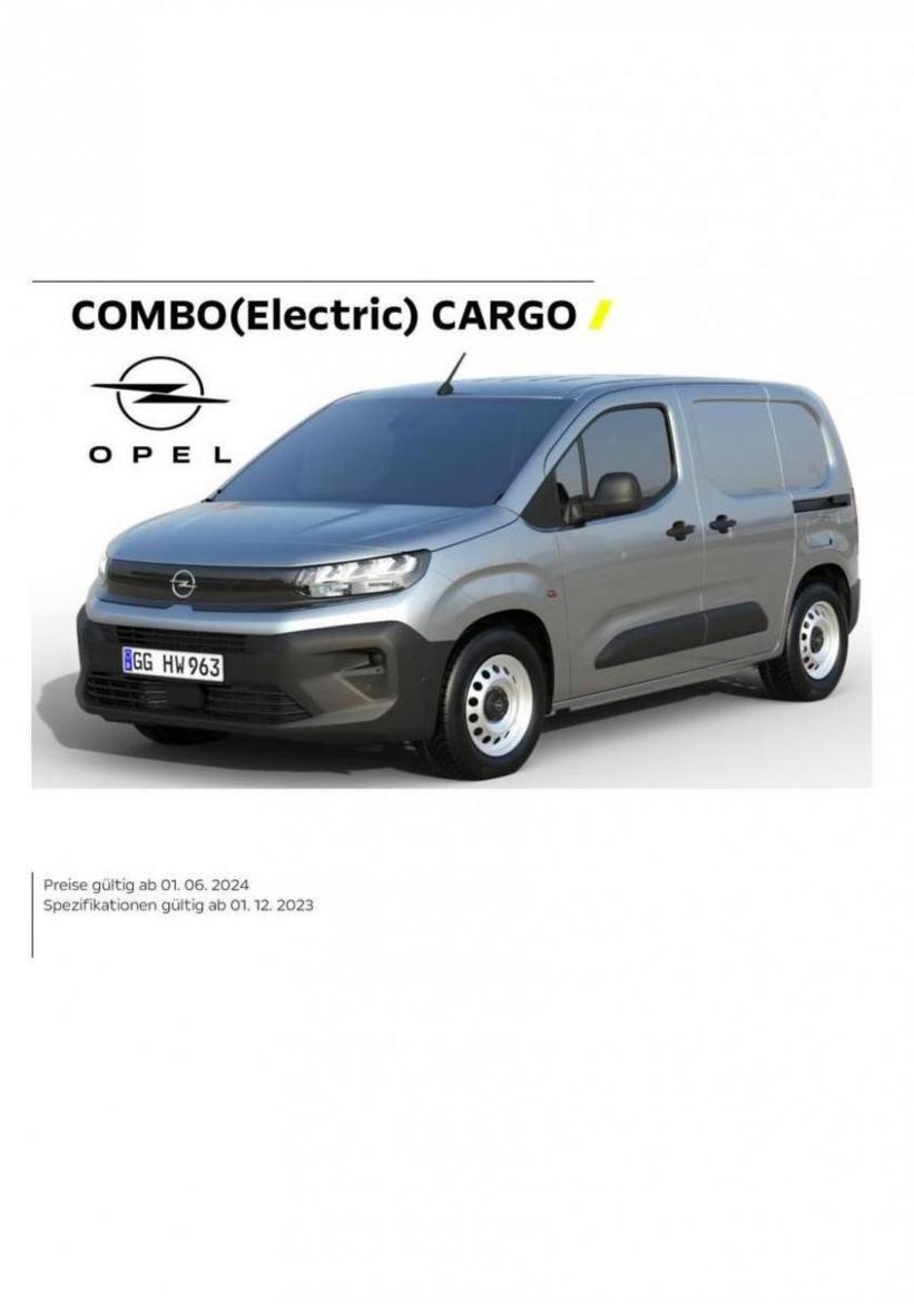 Opel Combo Cargo. Opel (2024-06-19-2024-06-19)