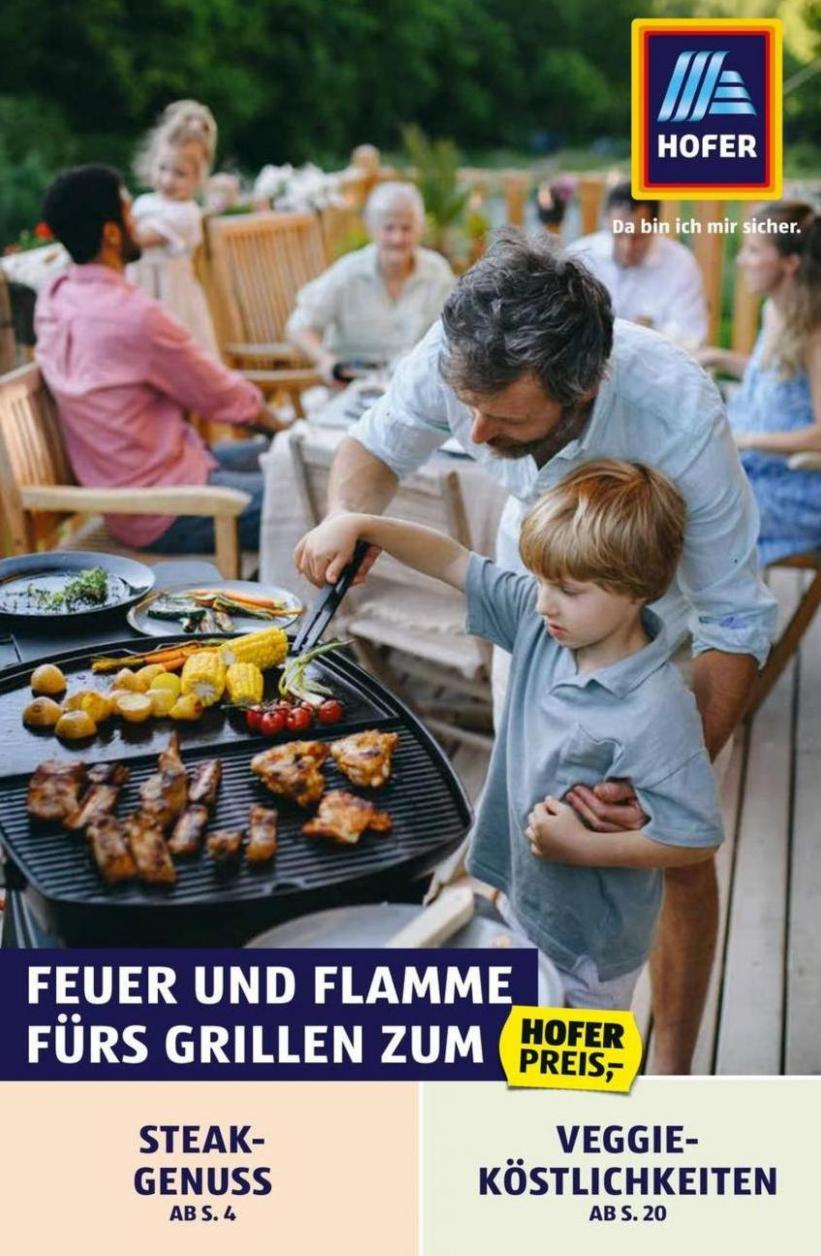 Grillen-Katalog. Hofer (2024-06-08-2024-06-08)