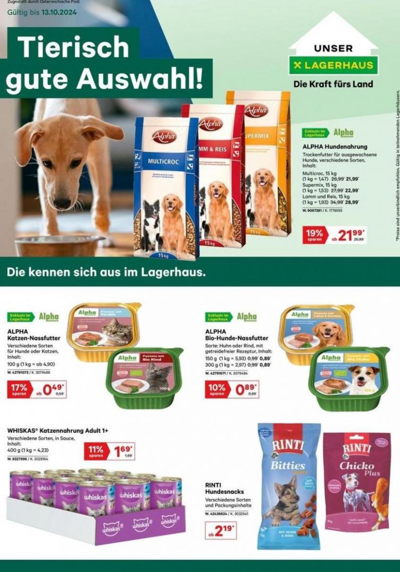 Tierische gute Auswahl!. Lagerhaus (2024-10-05-2024-10-05)