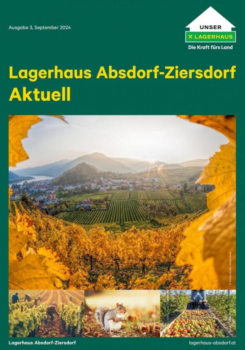 Mitgliederrundbrief Nr. 3/2024. Lagerhaus (2024-09-20-2024-09-20)