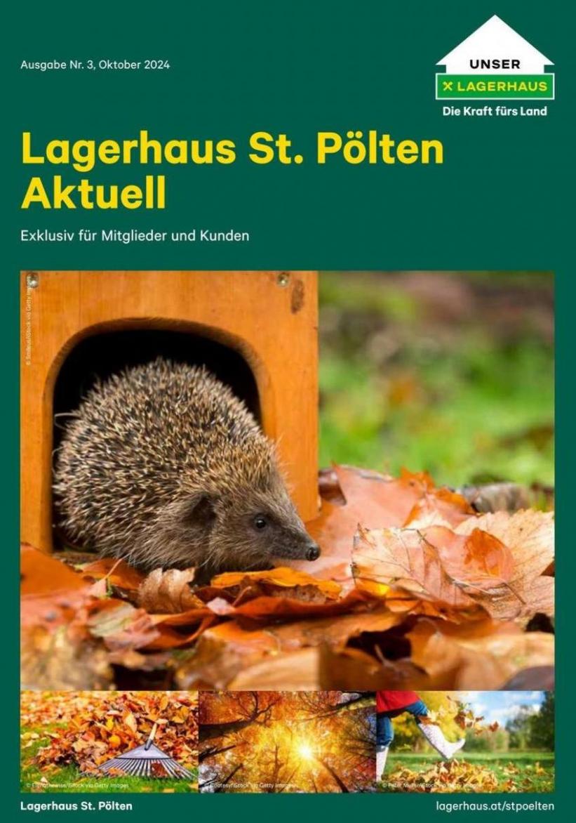 Rundschreiben Oktober 2024. Lagerhaus (2024-10-16-2024-10-16)