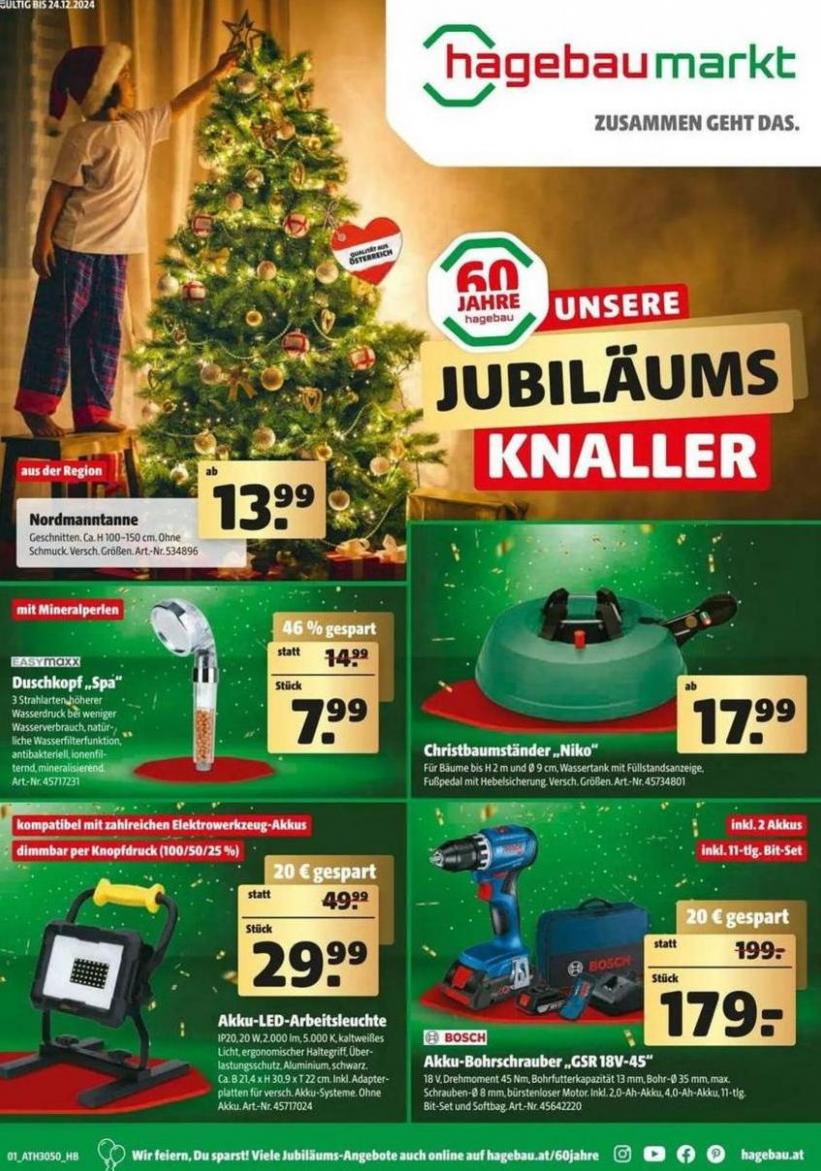 Tolles Angebot für alle Kunden. Hagebau (2024-12-17-2024-12-17)